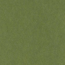 Kunin Felt - Olive